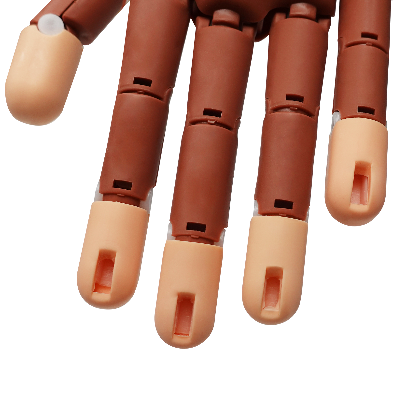 Professional Practice Hand with Acrylic Training Mat System