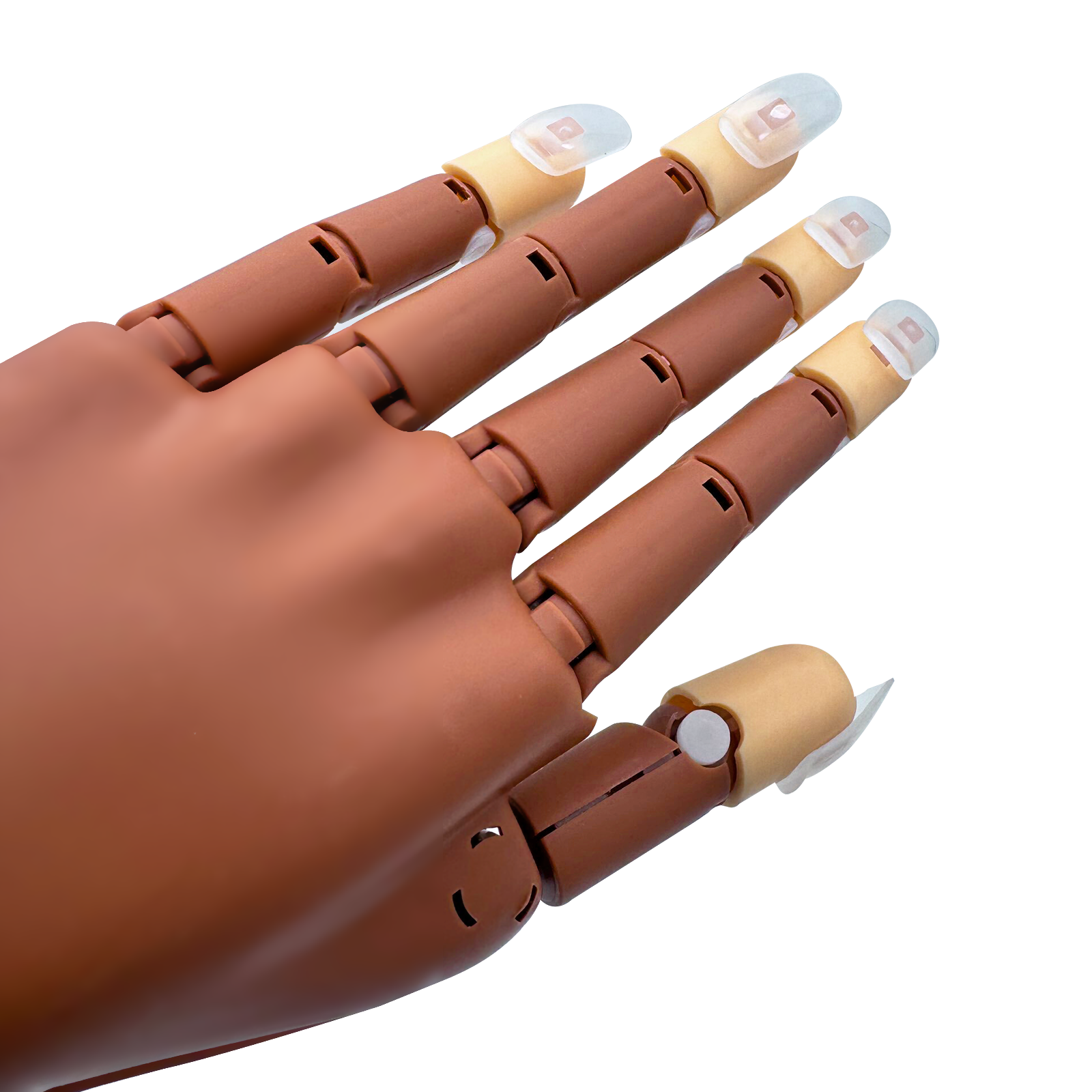 Professional Practice Hand with Acrylic Training Mat System